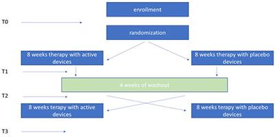 Proprioceptive Focal Stimulation (Equistasi®) May Improve the Quality of Gait in Middle-Moderate Parkinson's Disease Patients. Double-Blind, Double-Dummy, Randomized, Crossover, Italian Multicentric Study